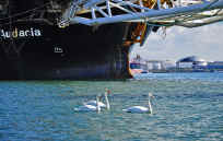 0521portnature (17).jpg (489434 bytes)