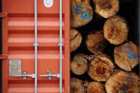 Container map 1 (65).jpg (134475 bytes)