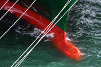 Ropes  (53).jpg (147960 bytes)