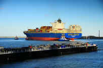 Sleep24 (143).jpg (117485 bytes)