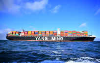 WISDOM (1).jpg (178865 bytes)