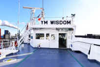 WISDOM (47).jpg (140734 bytes)