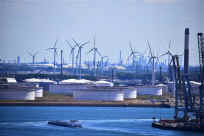 Wind collect (13).jpg (114645 bytes)